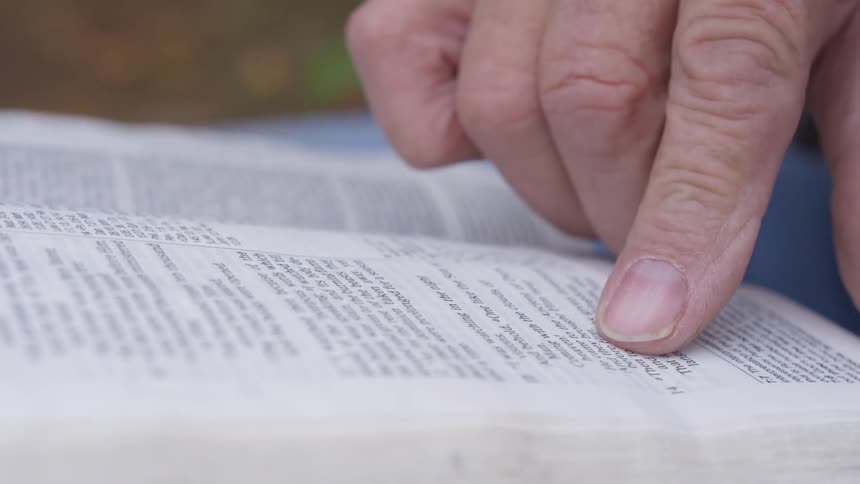 Man Reading Bible In Forest