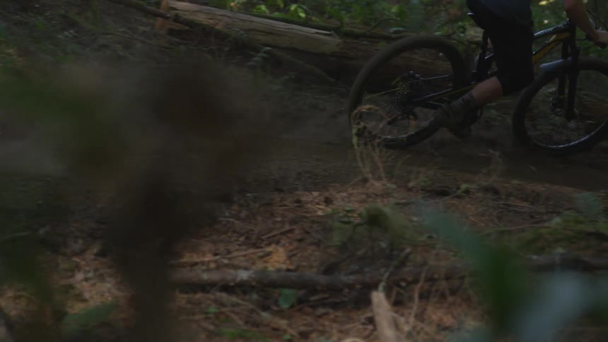 Man Mountain Biking In Forest
