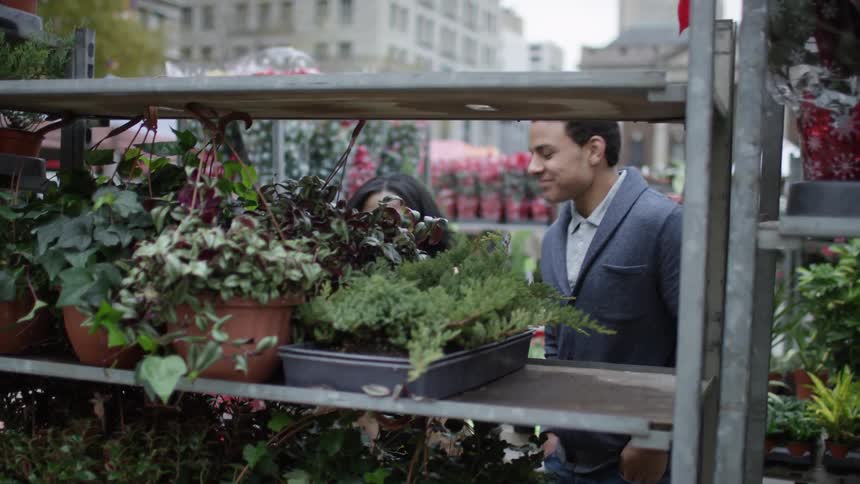 A man and woman choosing plants at an outdoor market