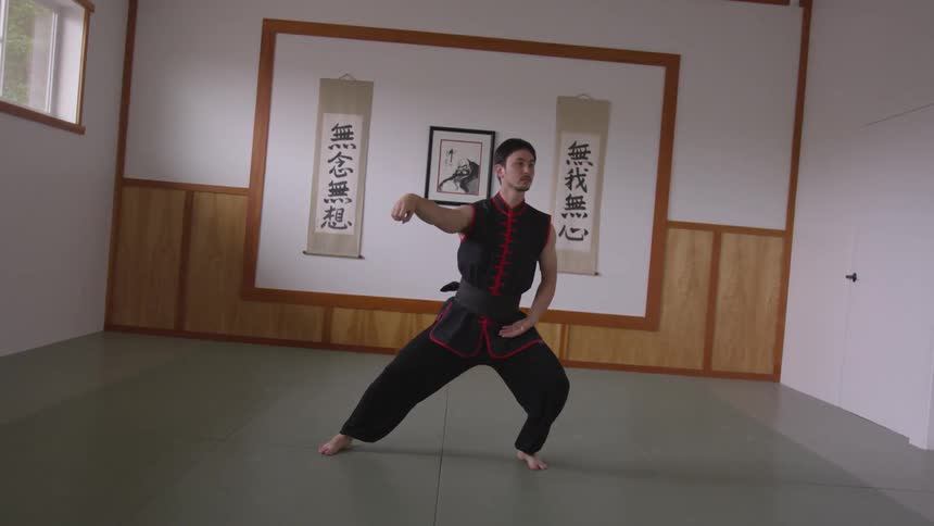 Man Practicing Asian Fighting Techniques