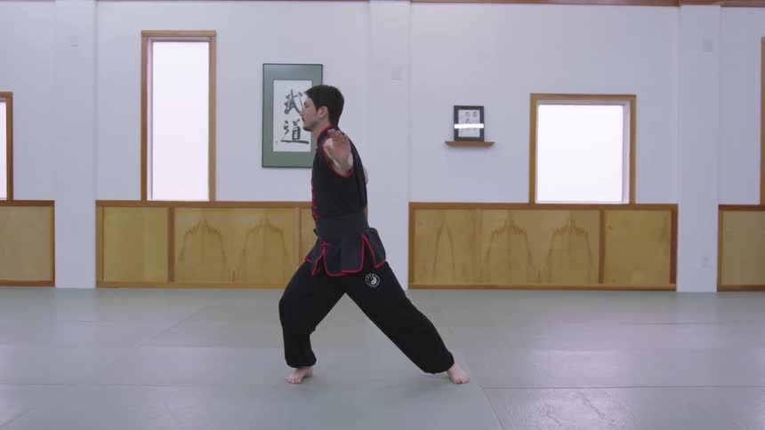 Man Practicing Asian Fighting Techniques