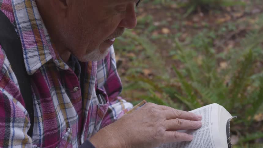 Man Reading Bible In Forest