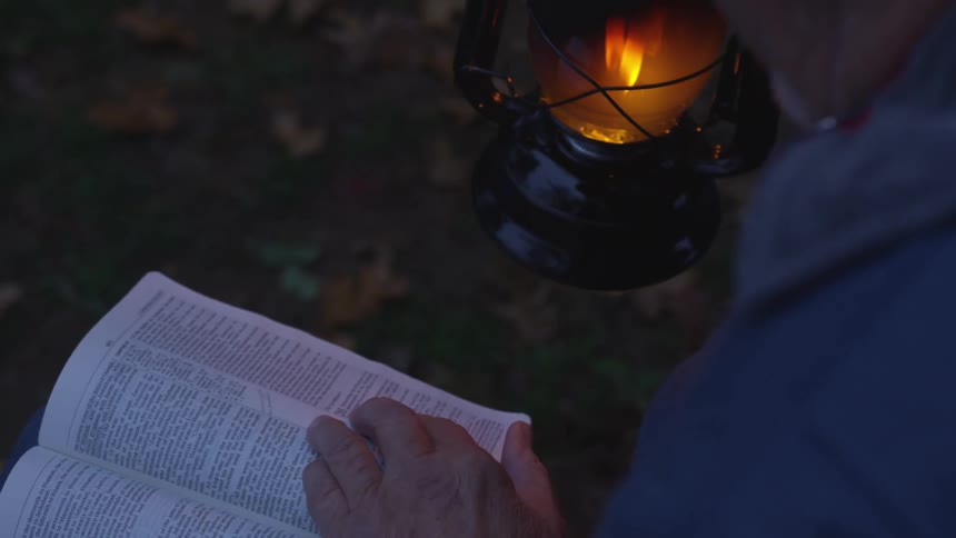 Man Reading Bible In Forest