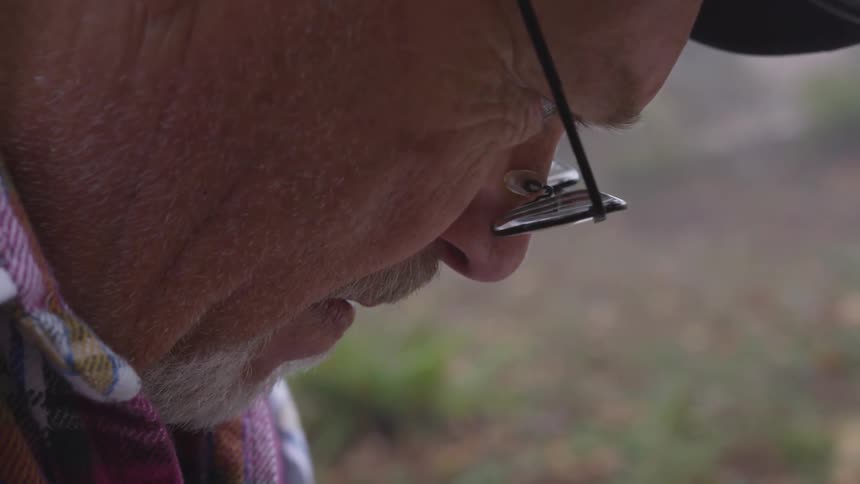 Man Reading Bible In Forest