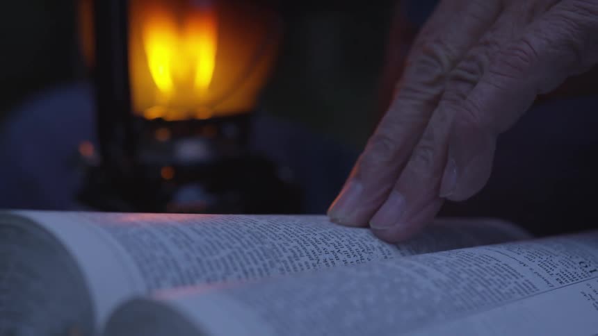 Man Reading Bible In Forest