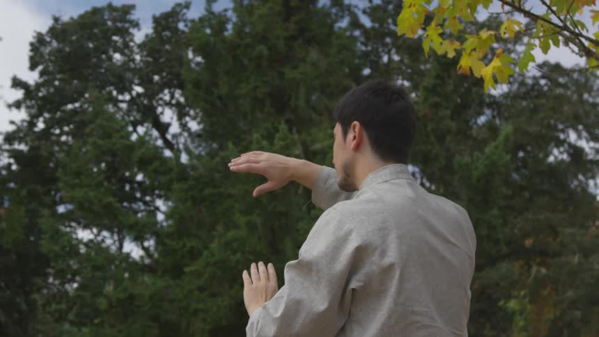 Man Practicing Asian Fighting Techniques