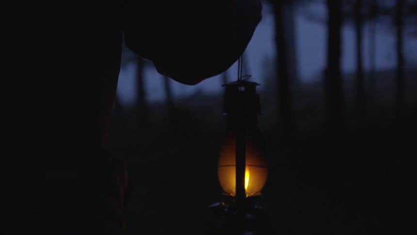 Man Reading Bible In Forest