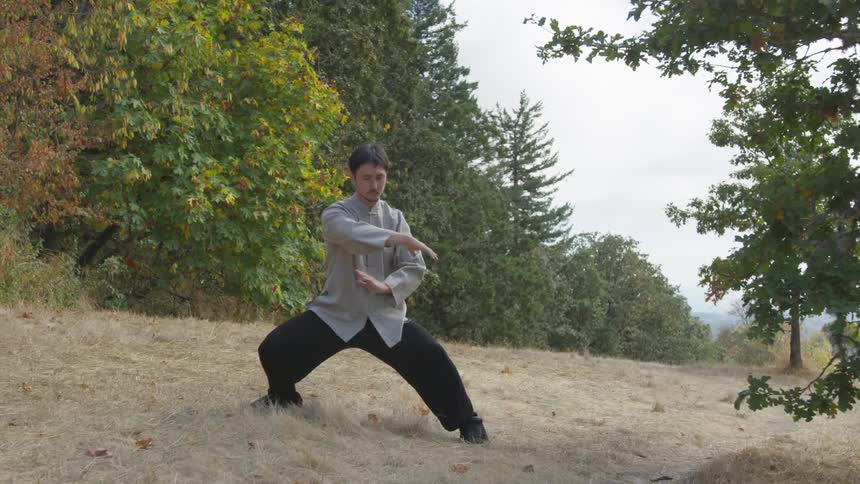 Man Practicing Asian Fighting Techniques