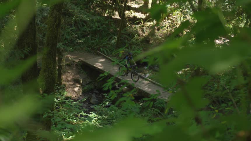 Man Mountain Biking In Forest