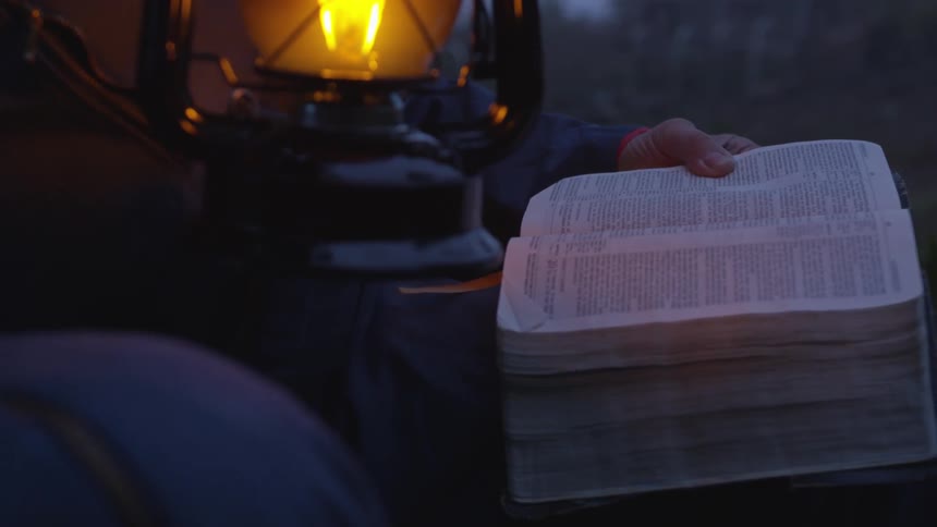 Man Reading Bible In Forest