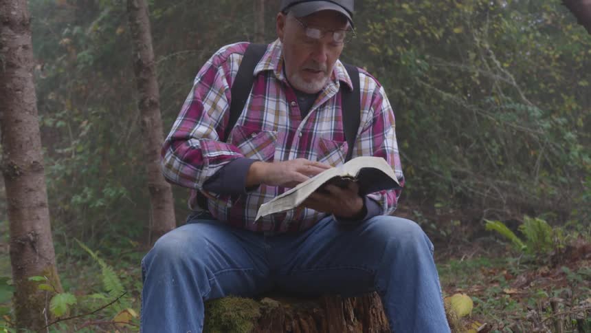 Man Reading Bible In Forest