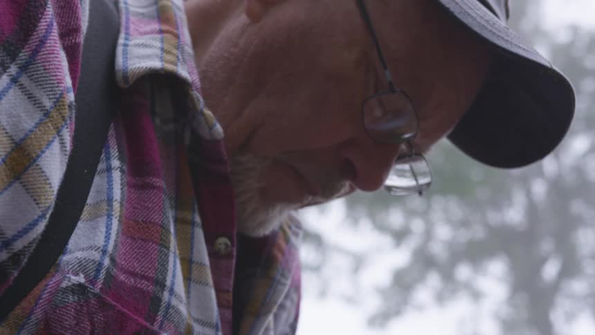 Man Reading Bible In Forest