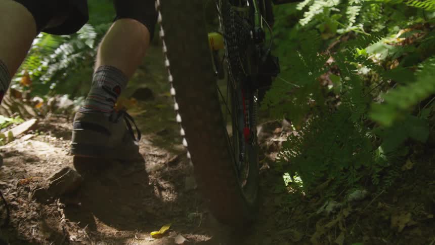 Man Mountain Biking In Forest