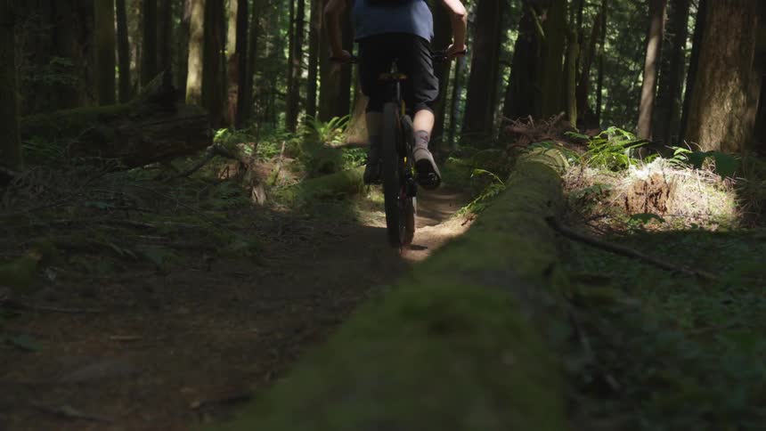 Man Mountain Biking In Forest
