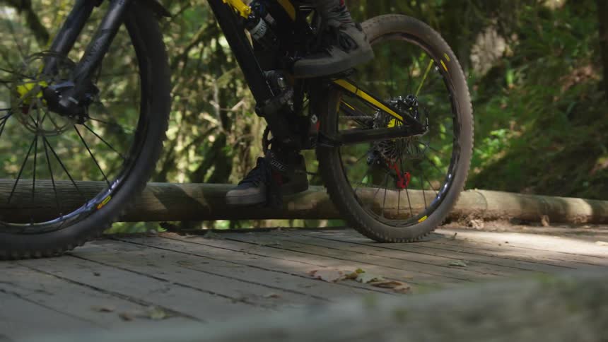 Man Mountain Biking In Forest
