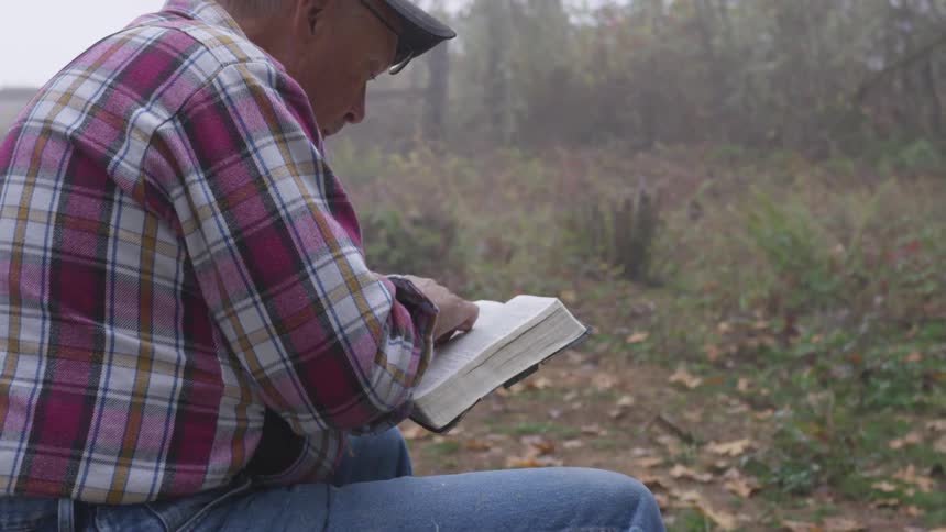 Man Reading Bible In Forest