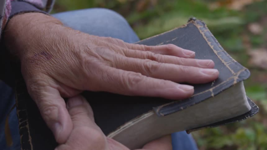 Man Reading Bible In Forest