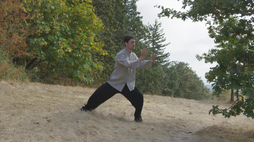 Man Practicing Asian Fighting Techniques