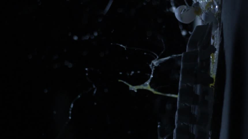 Eggs fly from a carton and crash against a wall
