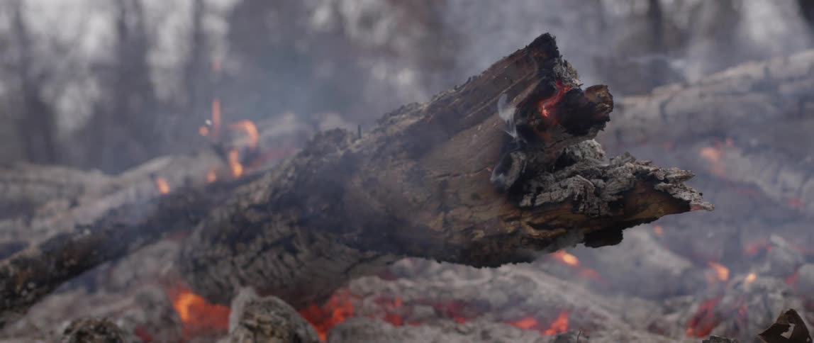 Kindling burning in a forest campfire as smoke bellows