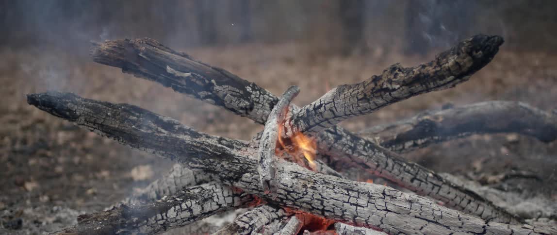A campfire burns as the wood turns white and flakes