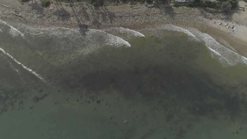 Man Surfing