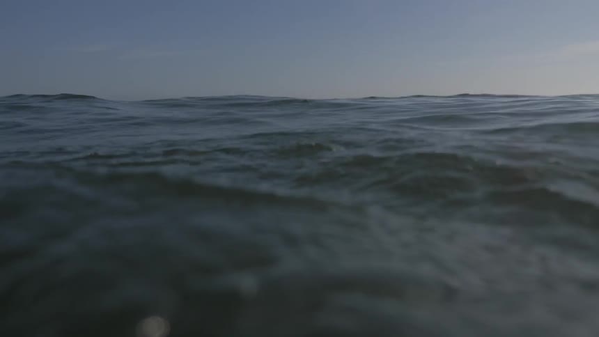 Man Surfing