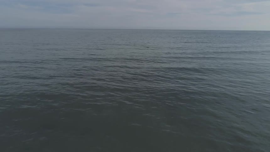 Man Surfing