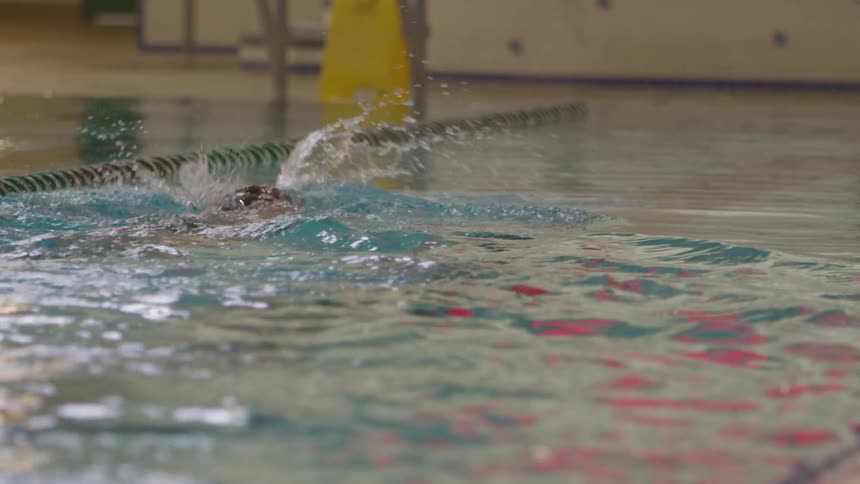 Man Swimming Laps In Indoor Pool