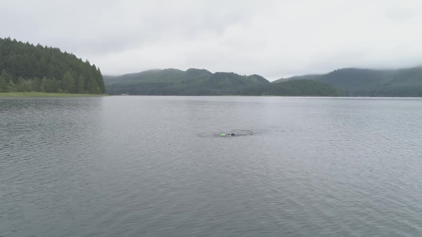 Man Swimming In Lake