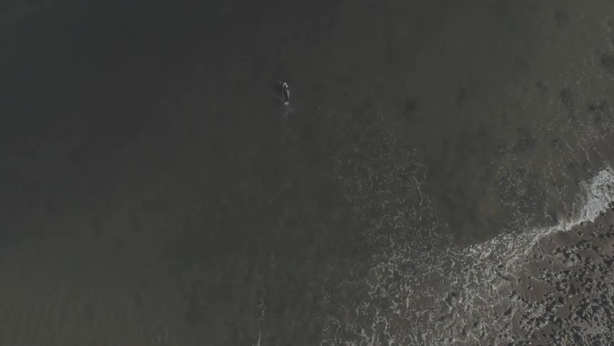Man Surfing