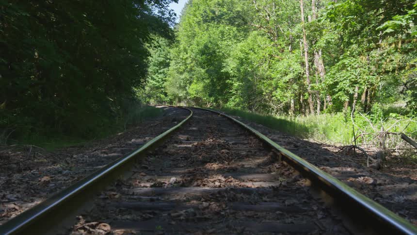 Man With Bible Walking On Train Tracks