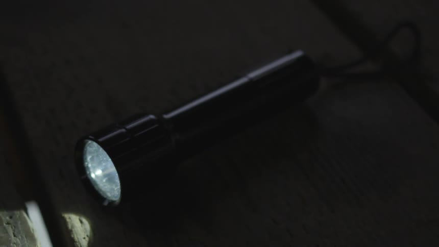 Man With Flashlight And Gun