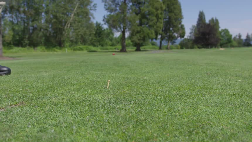 Men Playing Golf