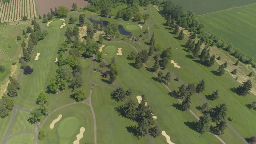 Men Playing Golf
