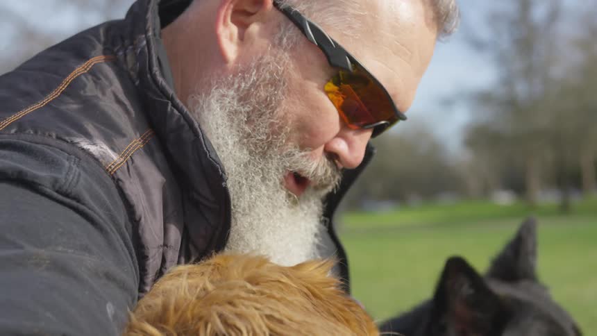 Man With Bible And Dogs