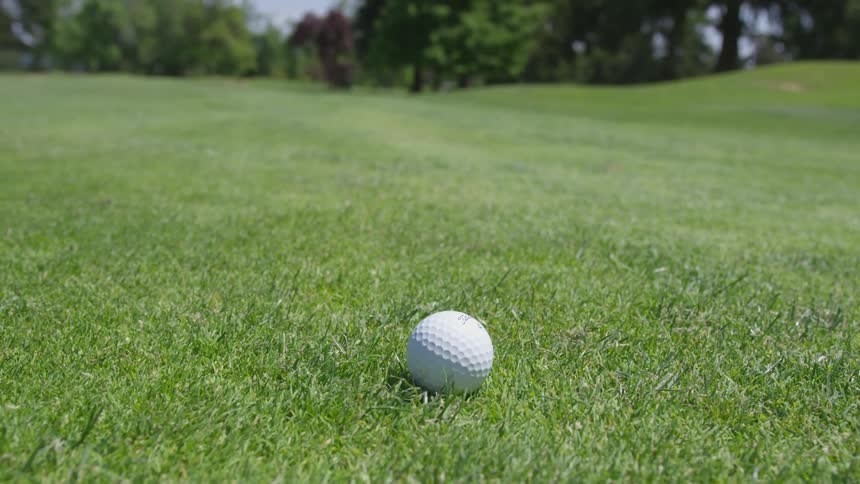 Men Playing Golf