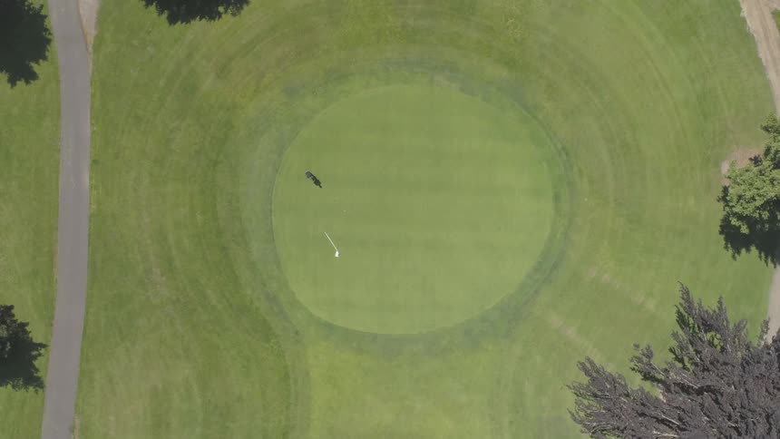 Men Playing Golf