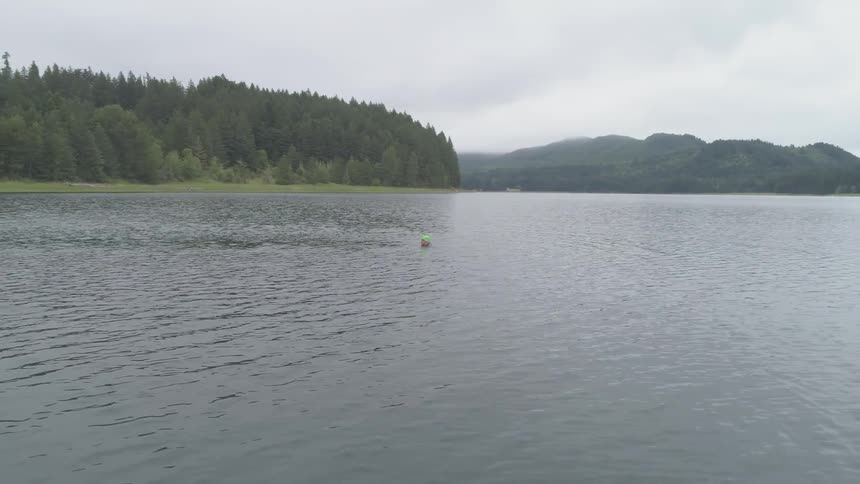 Man Swimming In Lake