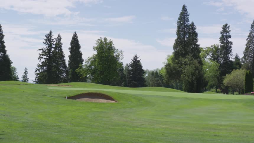 Men Playing Golf