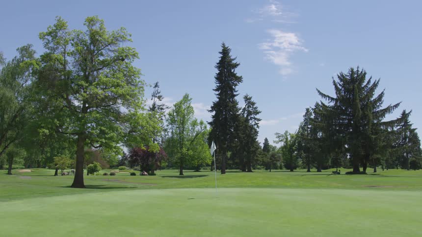 Men Playing Golf
