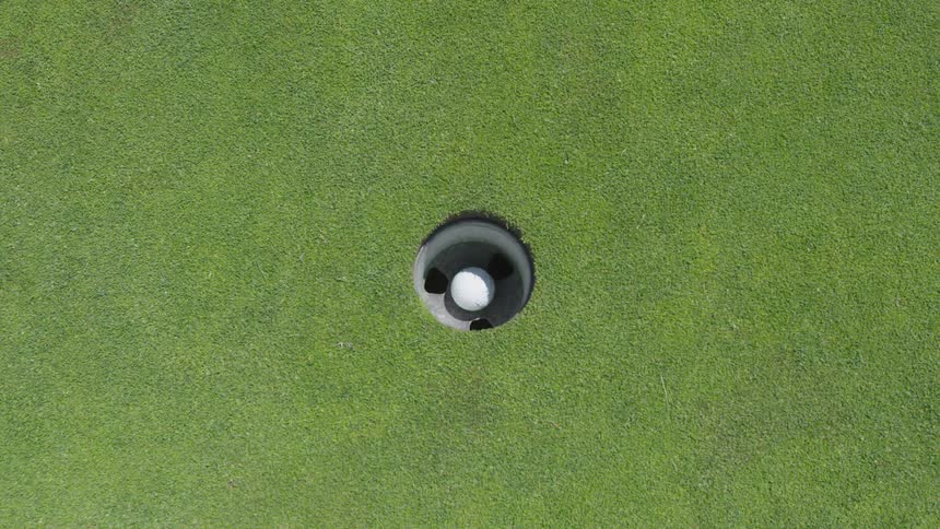 Men Playing Golf
