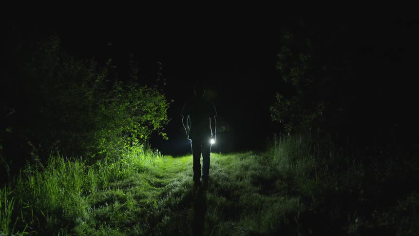Men In Forest At Night