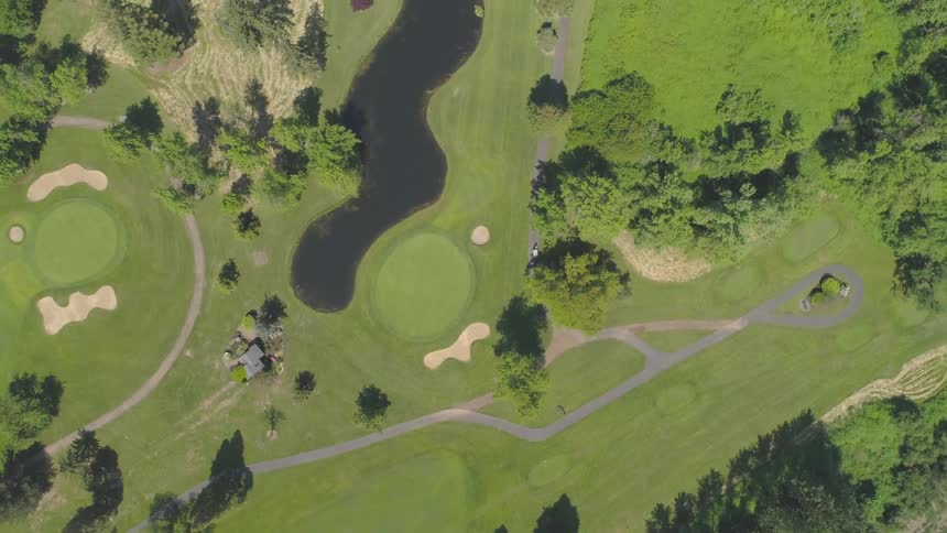 Men Playing Golf