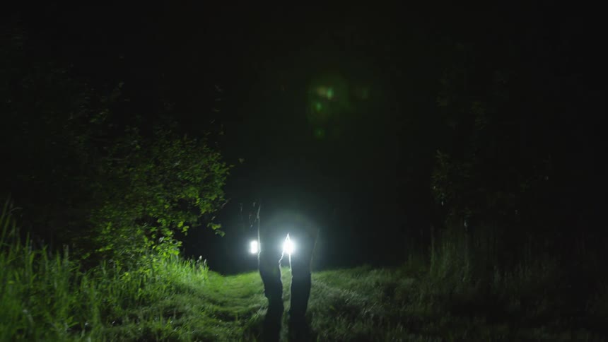 Men In Forest At Night