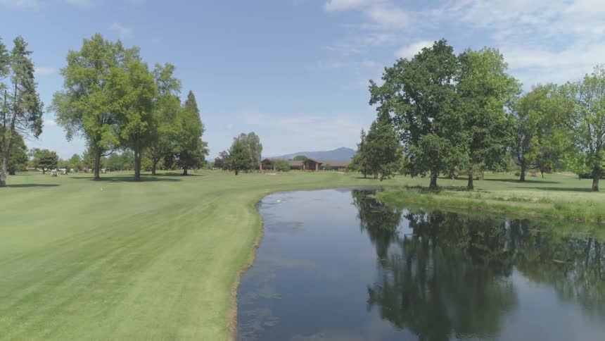 Men Playing Golf