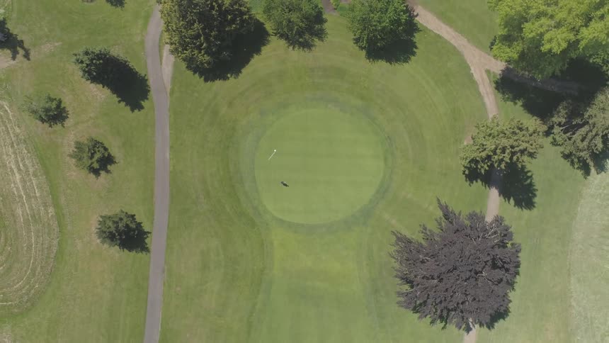 Men Playing Golf