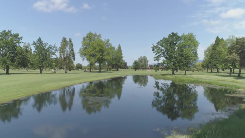Men Playing Golf