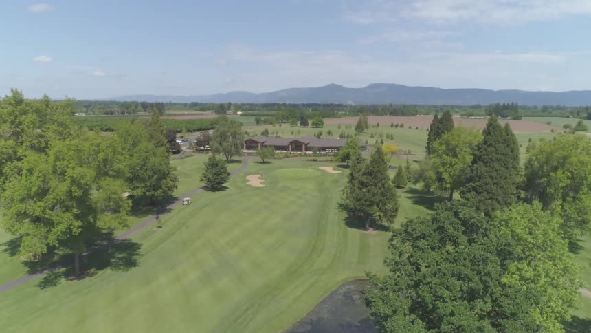 Men Playing Golf