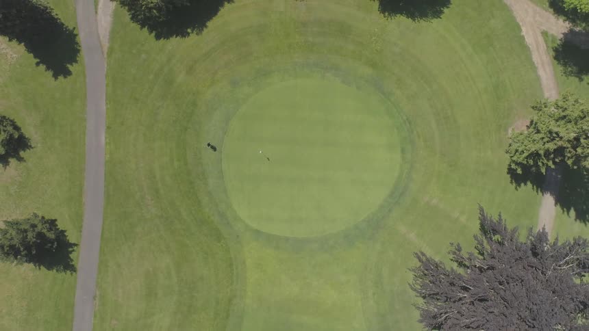 Men Playing Golf